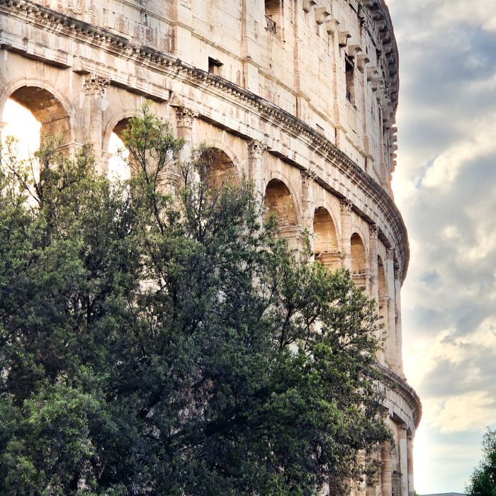 Shared from Lightroom mobile (17) Shared from Lightroom mobile (17)